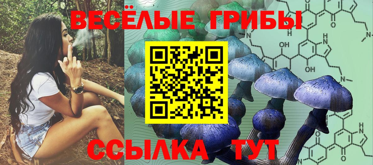 Галлюциногенные грибы мухоморы Новочебоксарск