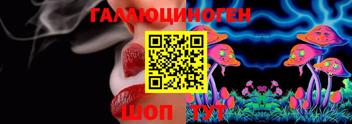 Новочебоксарск  Галлюциногенные грибы Cubensis  купить закладку  Вход с VPN 